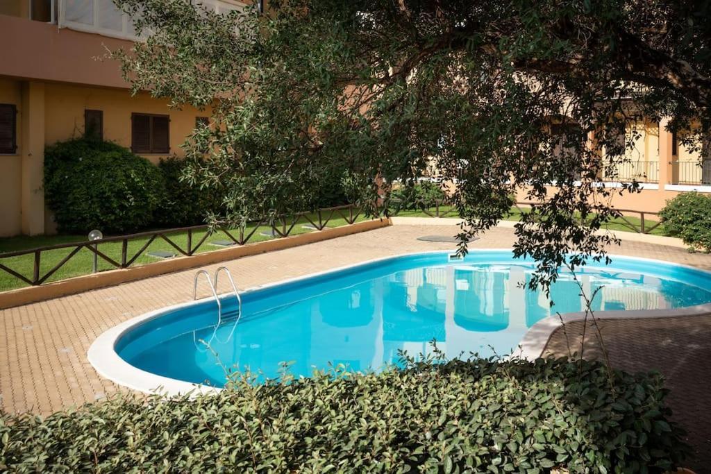 Apartment Homey Experience - Jardin Du Port *